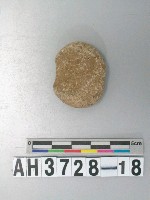 藏品(砝碼型石網墜)的圖片